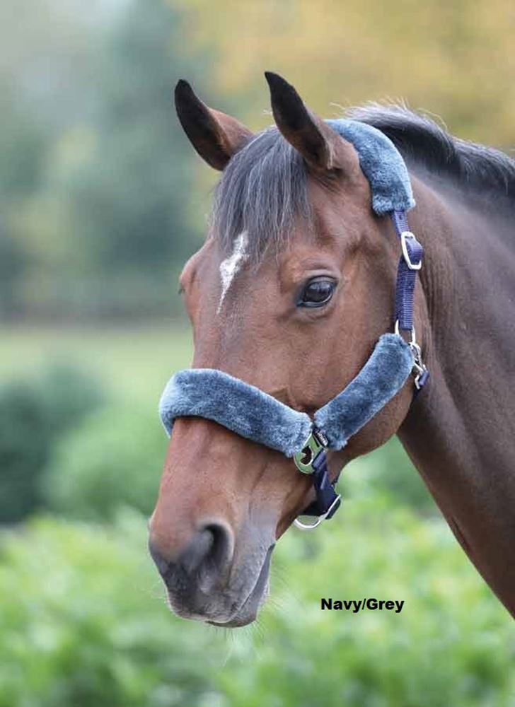 Shires Fleece Lined Headcollar