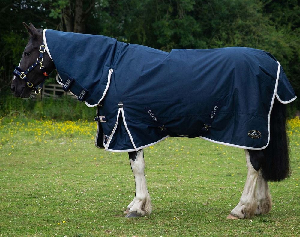 Gallop 600D TROJAN 100g Duraproof Combo Turnout (Navy with Beige/White bindings)