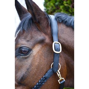 Rhinegold Lazio Plaited Leather Headcollar With Matching Leather Lead