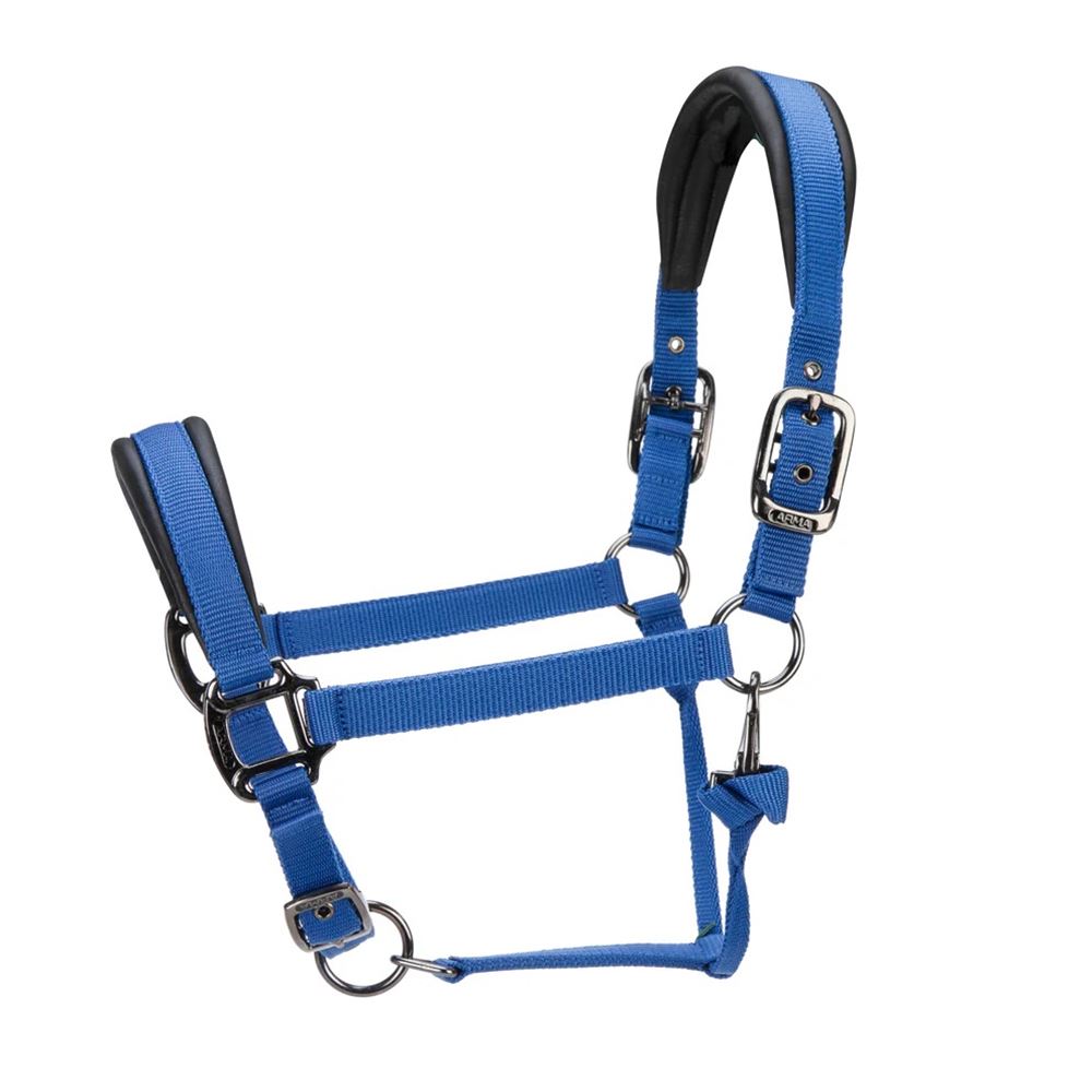 Shires ARMA Pro Padded Headcollar (Blue)