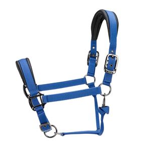 Shires ARMA Pro Padded Headcollar (Blue)