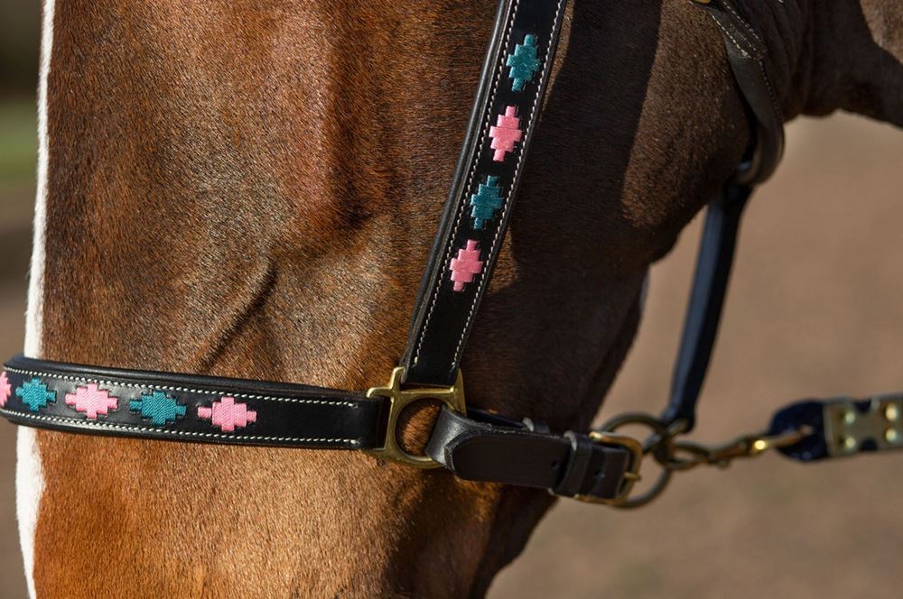 Gallop Premium Padded Leather Headcollar (Pink/Aqua)