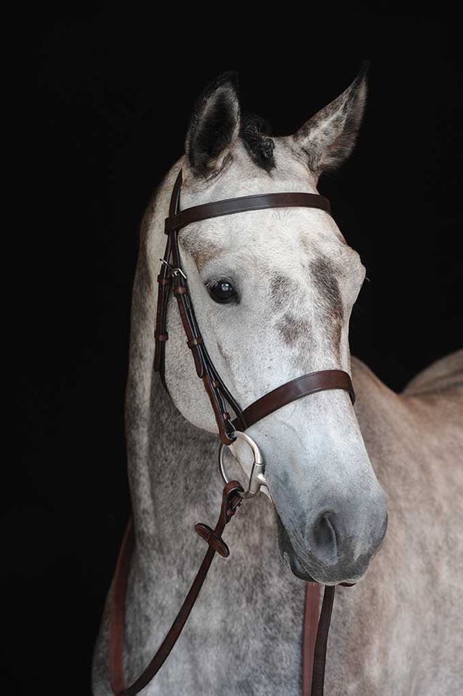 Collegiate Hunt Cavesson Bridle