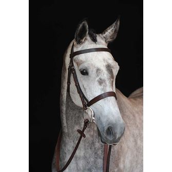 Collegiate Hunt Cavesson Bridle
