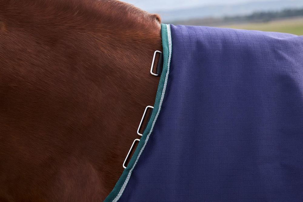 Weatherbeeta Comfitec Plus Dynamic Turnout Standard - 100g (Navy/Forest Green)