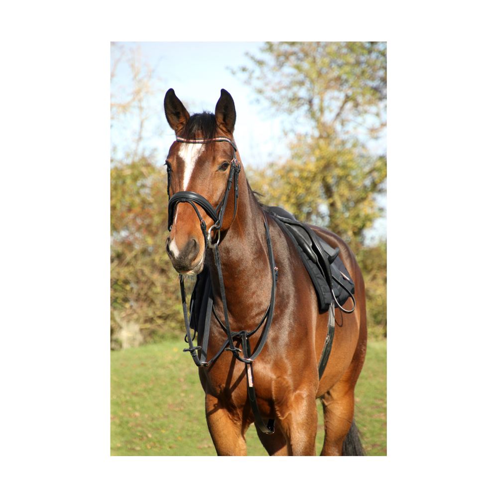 Hy Equestrian Rosciano Rose Gold Martingale (Black)