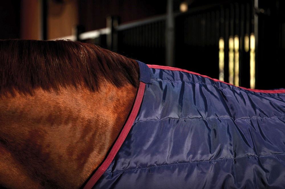 Weatherbeeta Comfitec 210D Channel Quilt Stable Standard - 100g (Navy/Burgundy)