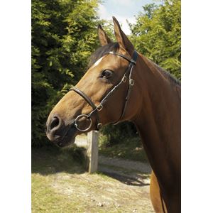 Heritage Saddlery English leather In-Hand Bridle