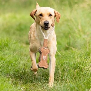 Benji & Flo Tug 'n' Play Toys - Rope with Bone