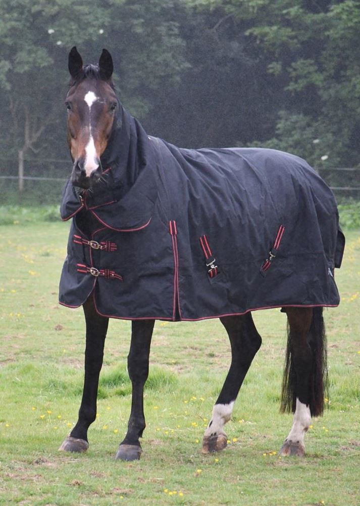 Rhinegold Aspen Full Neck Combo Outdoor Rug - 350g (Black Bound Red)