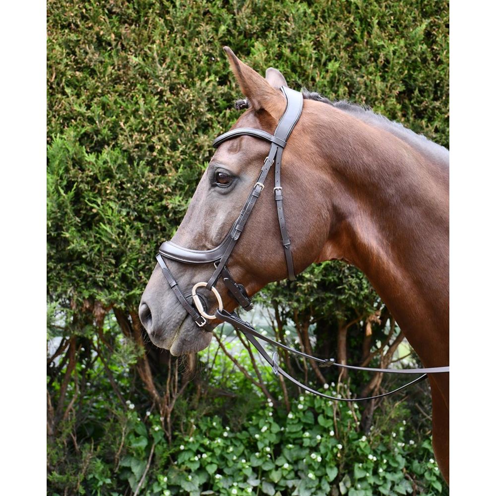 Rhinegold Leather Pro-Anatomical Bridle