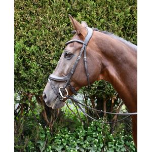 Rhinegold Leather Pro-Anatomical Bridle