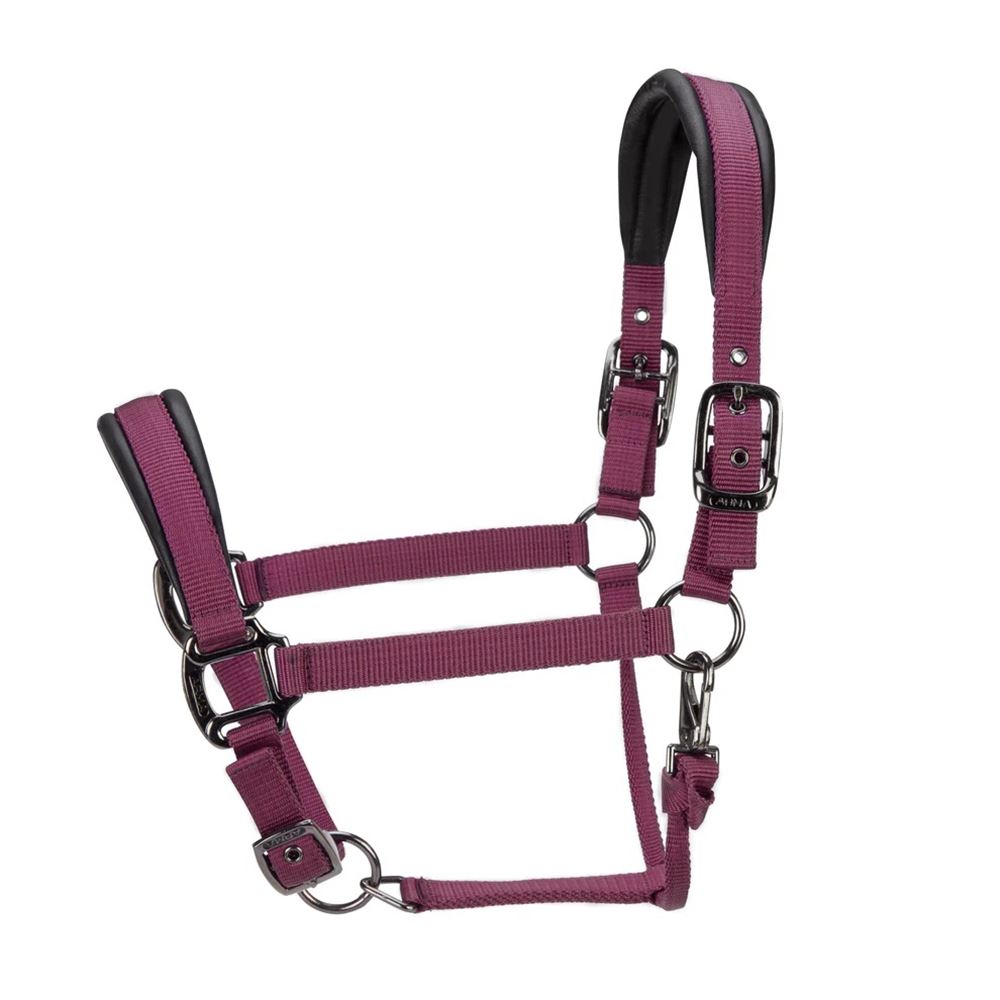 Shires ARMA Pro Padded Headcollar (Black Cherry)