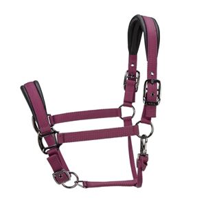 Shires ARMA Pro Padded Headcollar (Black Cherry)