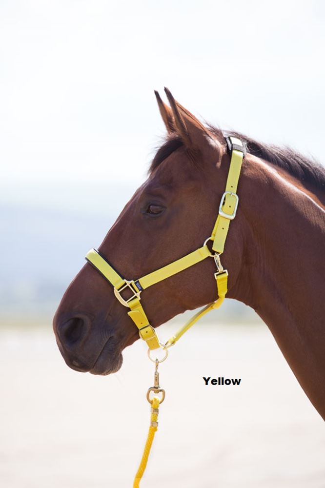 Shires Topaz Nylon Headcollar