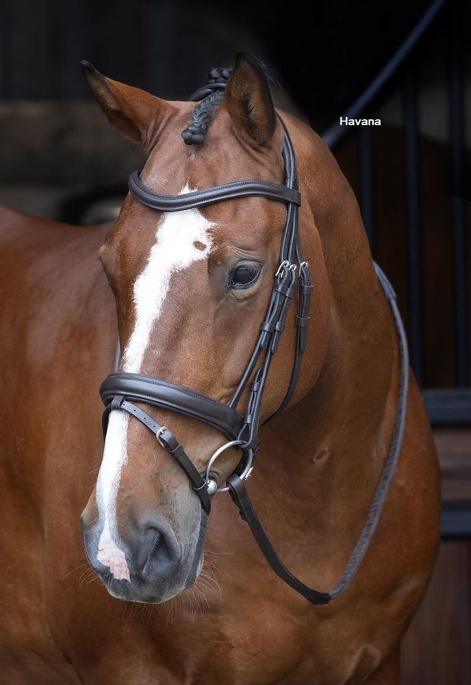 Shires Velociti RAPIDA Dressage Bridle with Flash