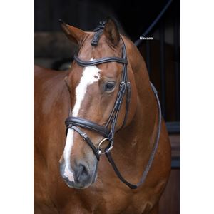 Shires Velociti RAPIDA Dressage Bridle with Flash