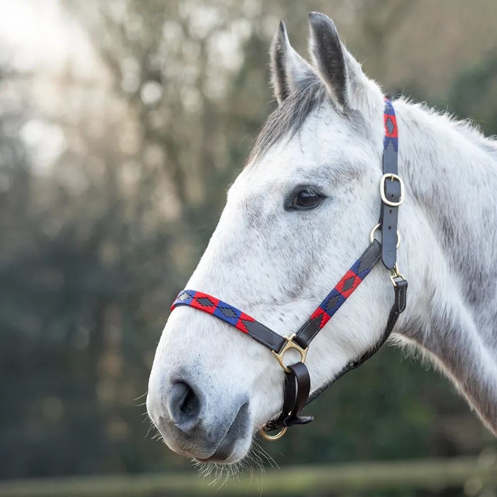 Hy Equestrian Polo Leather Head Collar (Navy/Red)