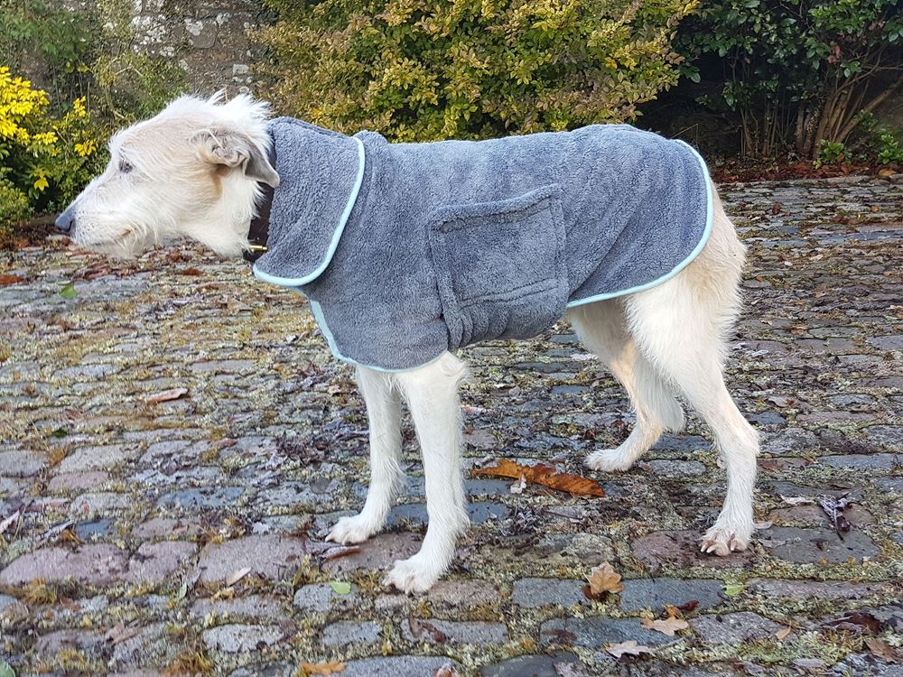 Henry Wag Drying Dog Coat