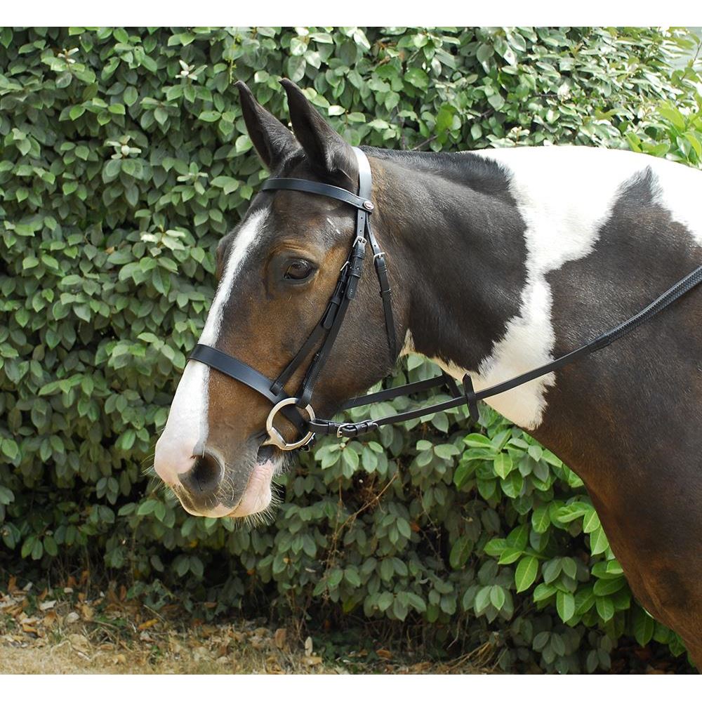 Windsor Leather Hunter Bridle With Wide Cavesson Noseband