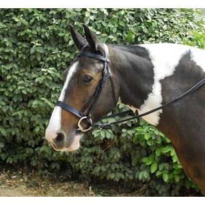 Windsor Leather Hunter Bridle With Wide Cavesson Noseband