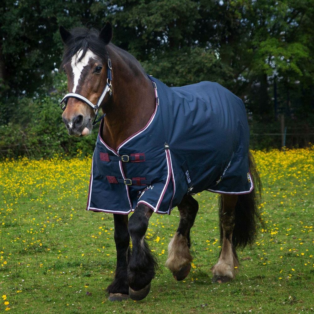 Gallop Trojan DURAPROOF 50 Turnout Rug (Navy/Burgundy)