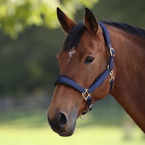 Shires Arma Padded Headcollar (Navy)