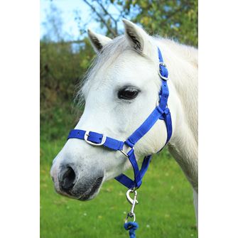 Gallop Headcollar & Leadrope Set (Royal Blue)