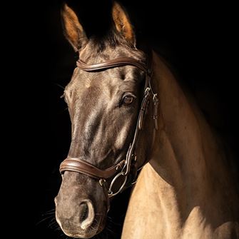 ProPresicce Pelle Drop Leather Bridle by Hy Equestrian (Brown with Brass Hardware)