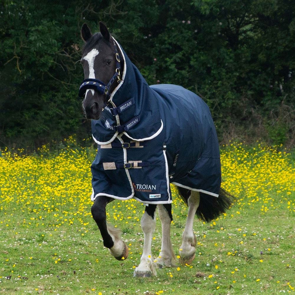 Gallop 600D TROJAN 100g Duraproof Combo Turnout (Navy with Beige/White bindings)
