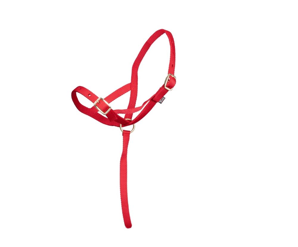 Shires Nylon Foal Slip