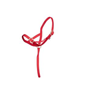 Shires Nylon Foal Slip