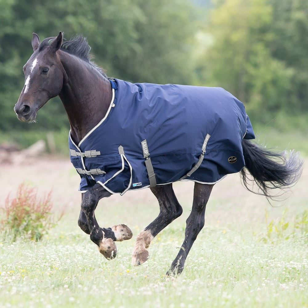 Gallop TROJAN Duraproof 300g 5-Point Standard Neck Turnout (Navy with Grey/White bindings)