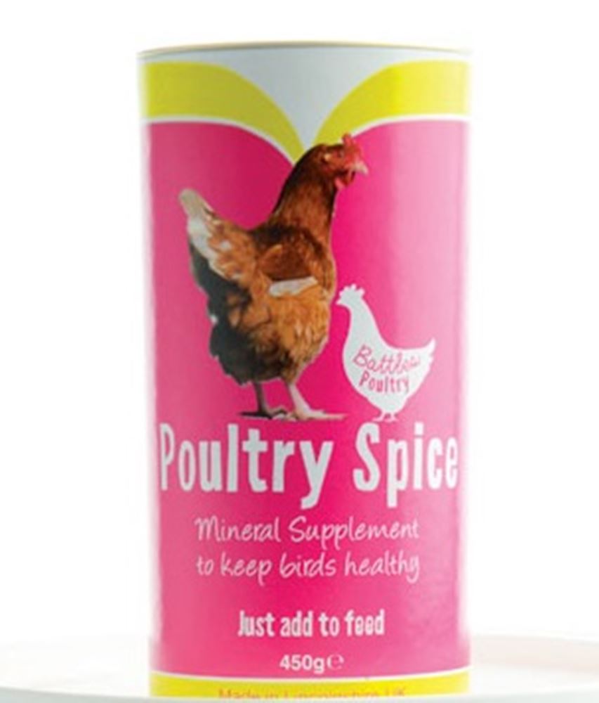 Battles Poultry Spice (450g)
