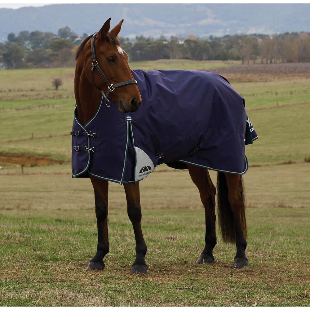 Weatherbeeta Comfitec Plus Dynamic Turnout High Neck - 100g (Navy/Forest Green)