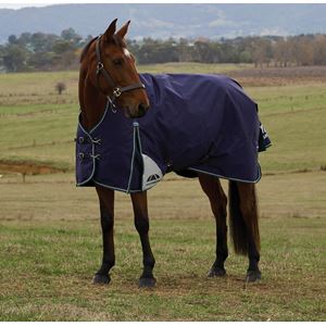 Weatherbeeta Comfitec Plus Dynamic Turnout High Neck - 100g (Navy/Forest Green)