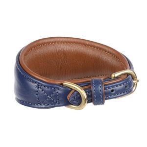 Shires Digby & Fox Padded Leather Greyhound Collar - M, L (Navy)