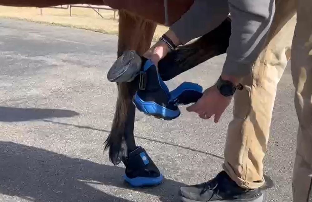 Easyboot RX2 Hoof Therapy Boot (Sizes 4-7)