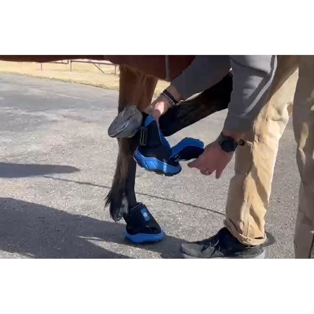 Easyboot RX2 Hoof Therapy Boot (Sizes 4-7)