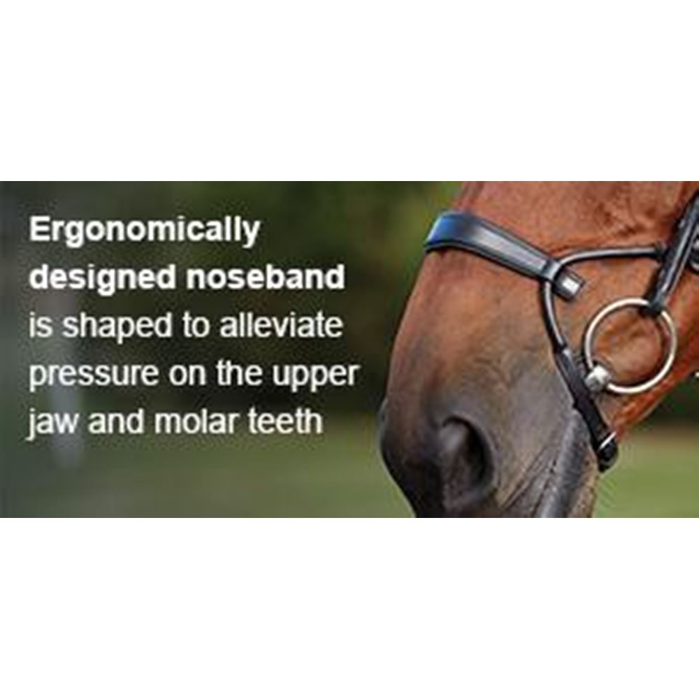 Collegiate Comfitec Crystal Bridle