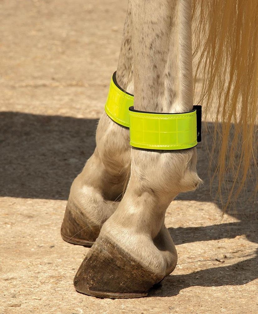 Harlequin Neoprene Lined Reflective Leg Bands (Reflective Yellow)