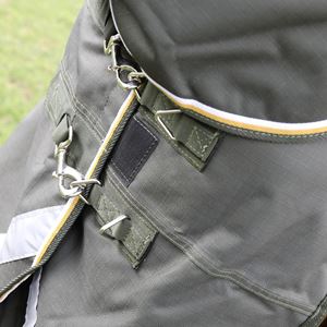 Shires Highlander Plus 50 Combo Turnout Rug (Green)