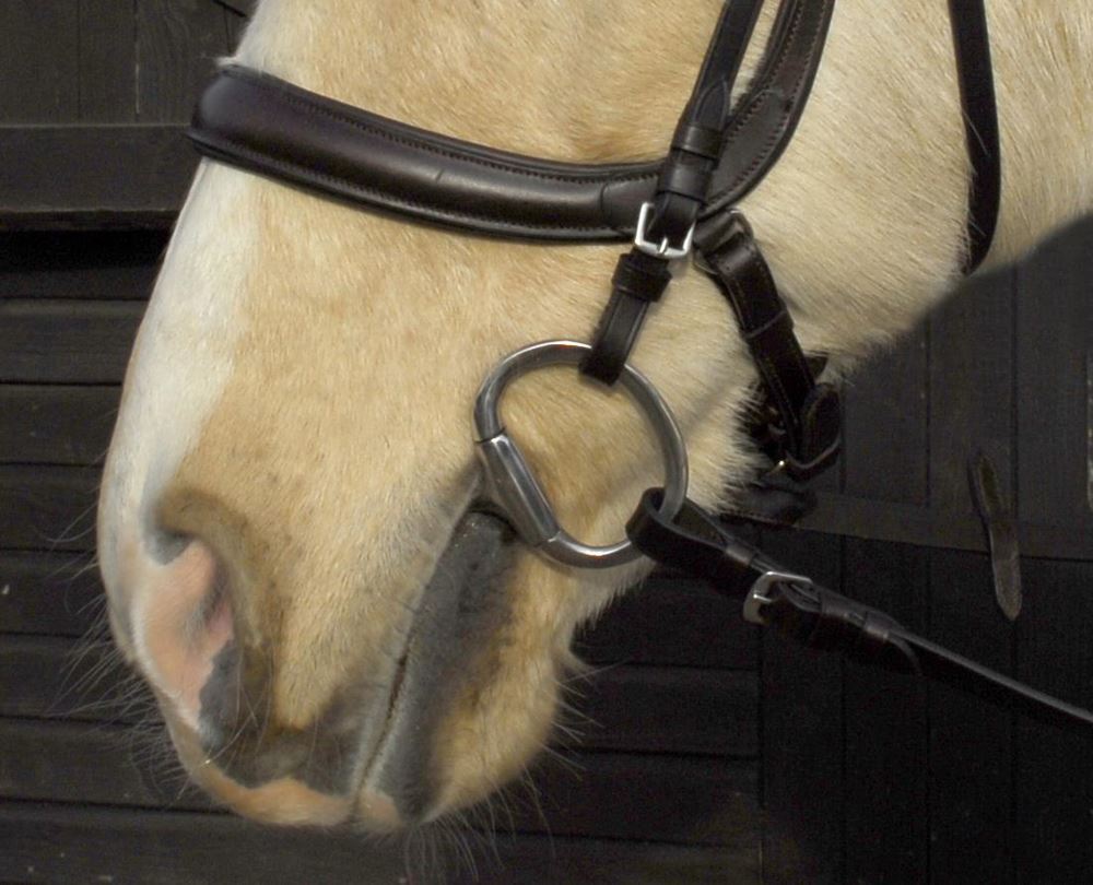 Heritage Saddlery Anotomical Cavesson Bridle