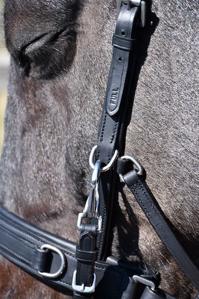 Rhinegold Leather Lunge Cavesson With Detachable Bit Attachment