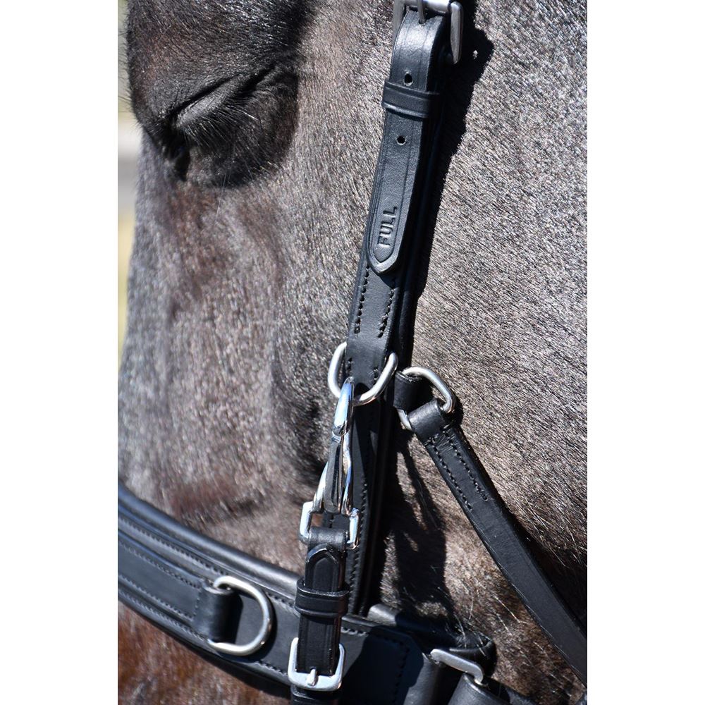 Rhinegold Leather Lunge Cavesson With Detachable Bit Attachment