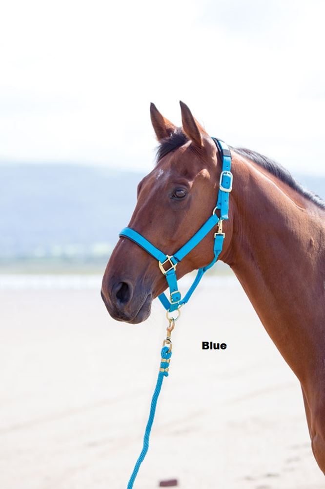 Shires Topaz Nylon Headcollar