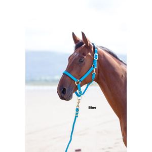 Shires Topaz Nylon Headcollar
