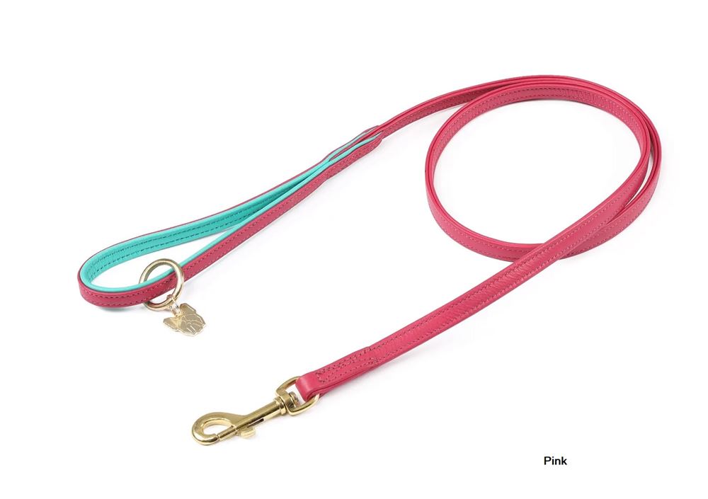 Shires Digby & Fox Padded Leather Dog Lead (110cm x 1.5cm)