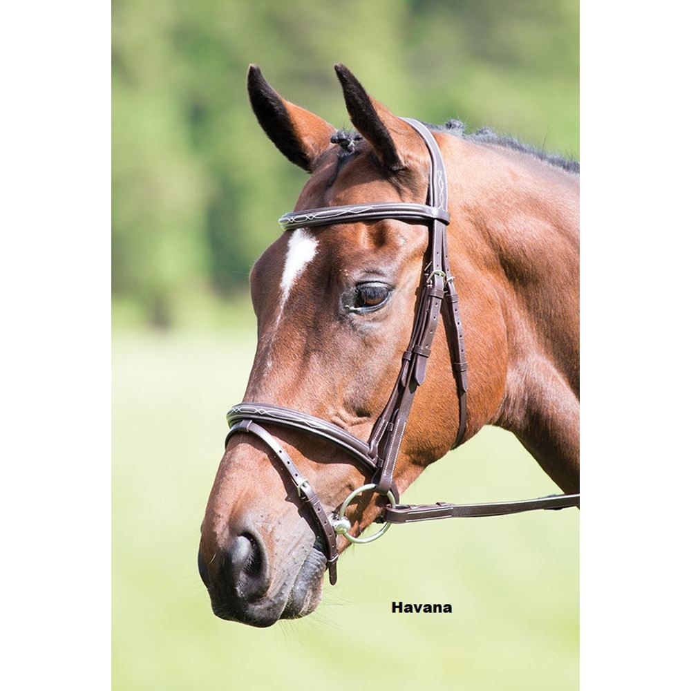 Shires Avignon Padded Raised Flash Bridle