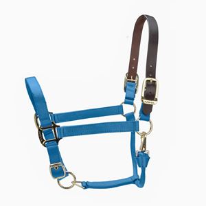 Shires ARMA Premium Adjustable FieldSafe Headcollar (Royal)